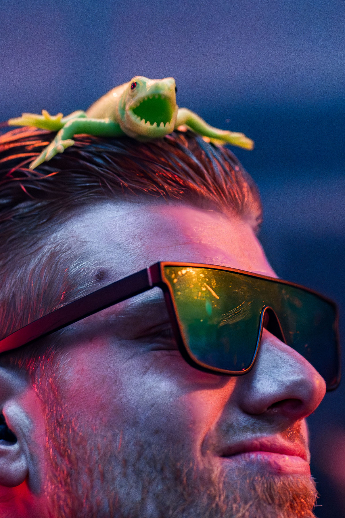 Loading... just a sec